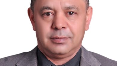 الصحفي علاء الدين مصطفى